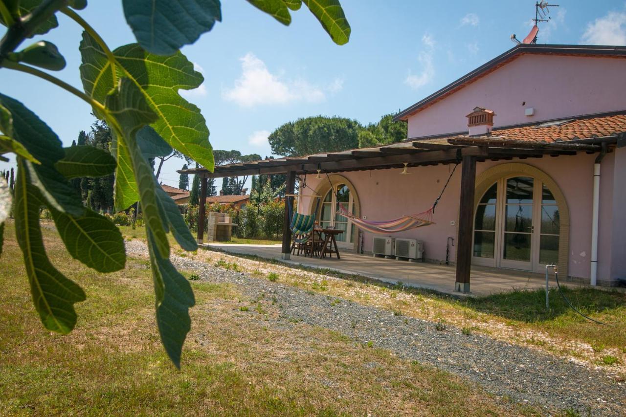 Fattoria Palazzeta - Pet & Family Friendly Apart otel Cecina  Dış mekan fotoğraf