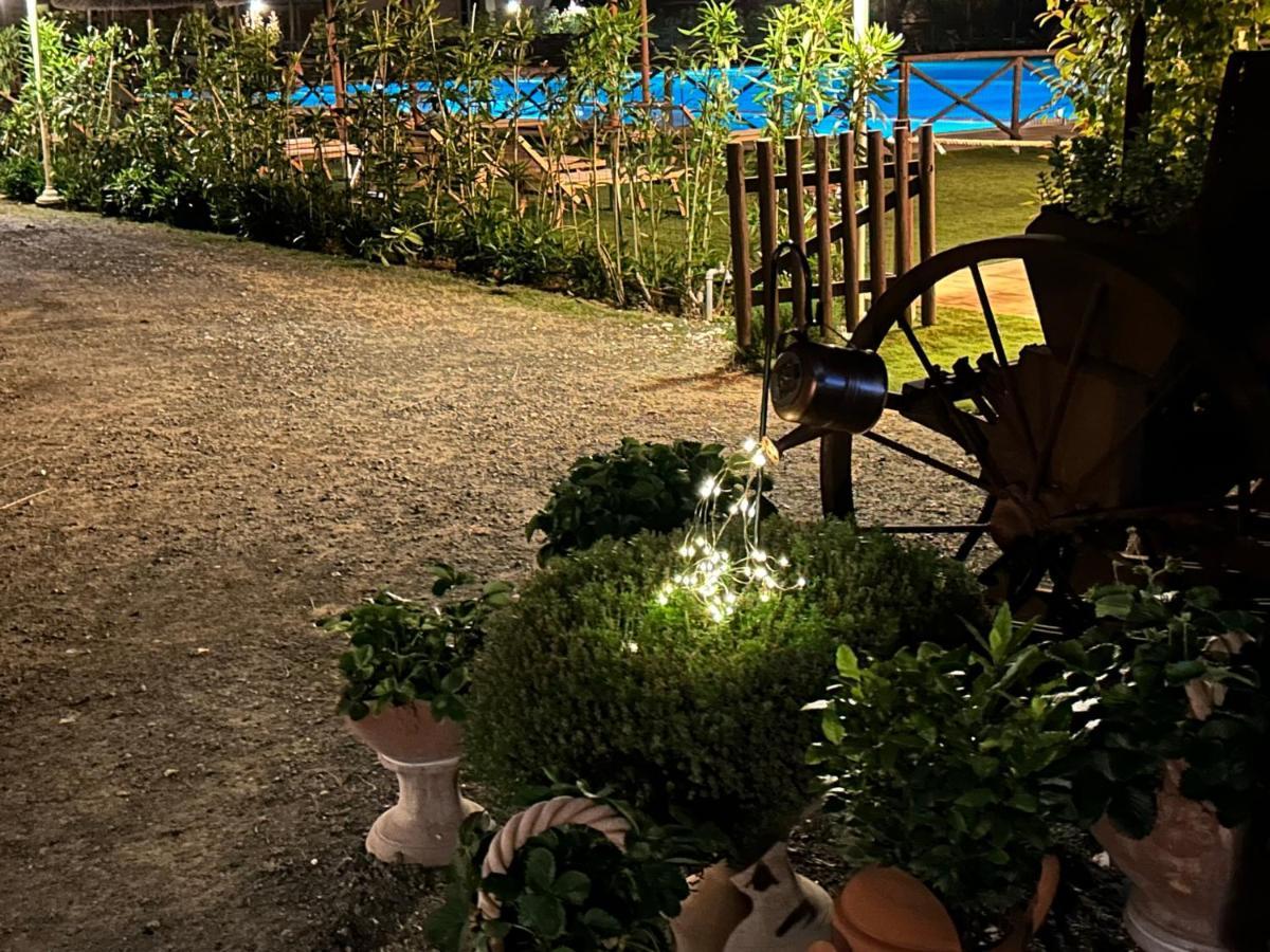 Fattoria Palazzeta - Pet & Family Friendly Apart otel Cecina  Dış mekan fotoğraf