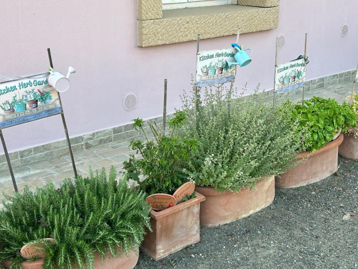 Fattoria Palazzeta - Pet & Family Friendly Apart otel Cecina  Dış mekan fotoğraf
