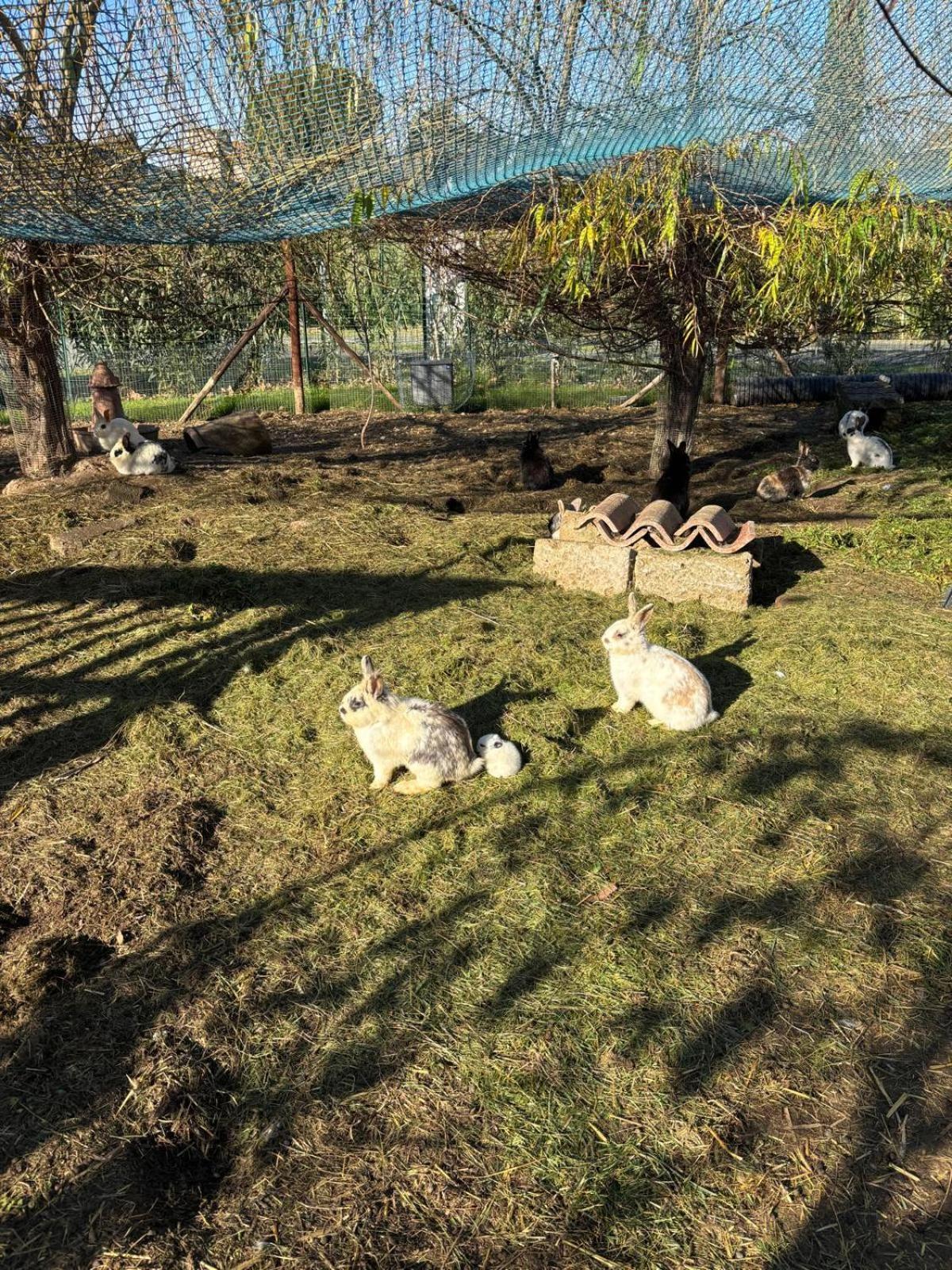 Fattoria Palazzeta - Pet & Family Friendly Apart otel Cecina  Dış mekan fotoğraf